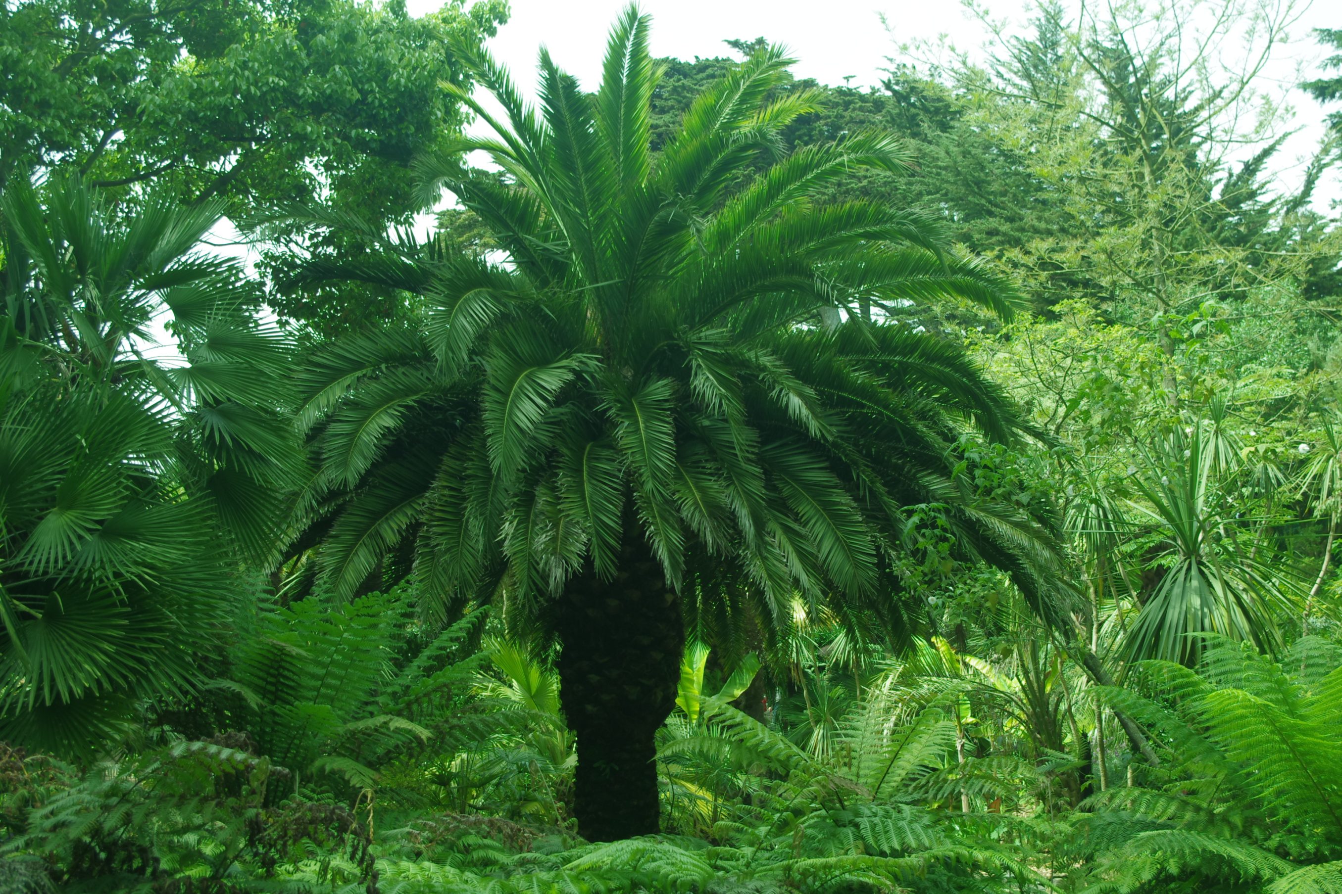 LE DEVENIR DU RÉEL.